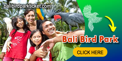 Things To Do in Bali 7