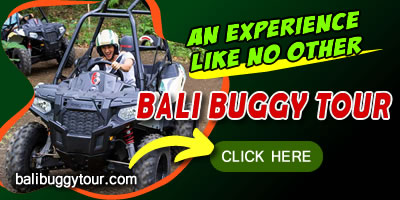 Things To Do in Bali 4