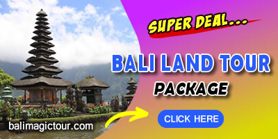Things To Do in Bali 9