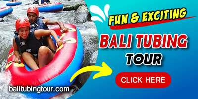 Things To Do in Bali 10