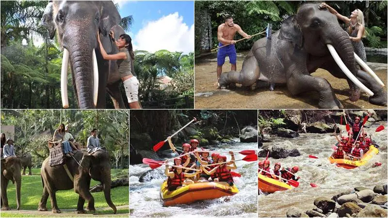 Bali Rafting + Bathing Elephant Tour 1