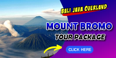 Things To Do in Bali 15
